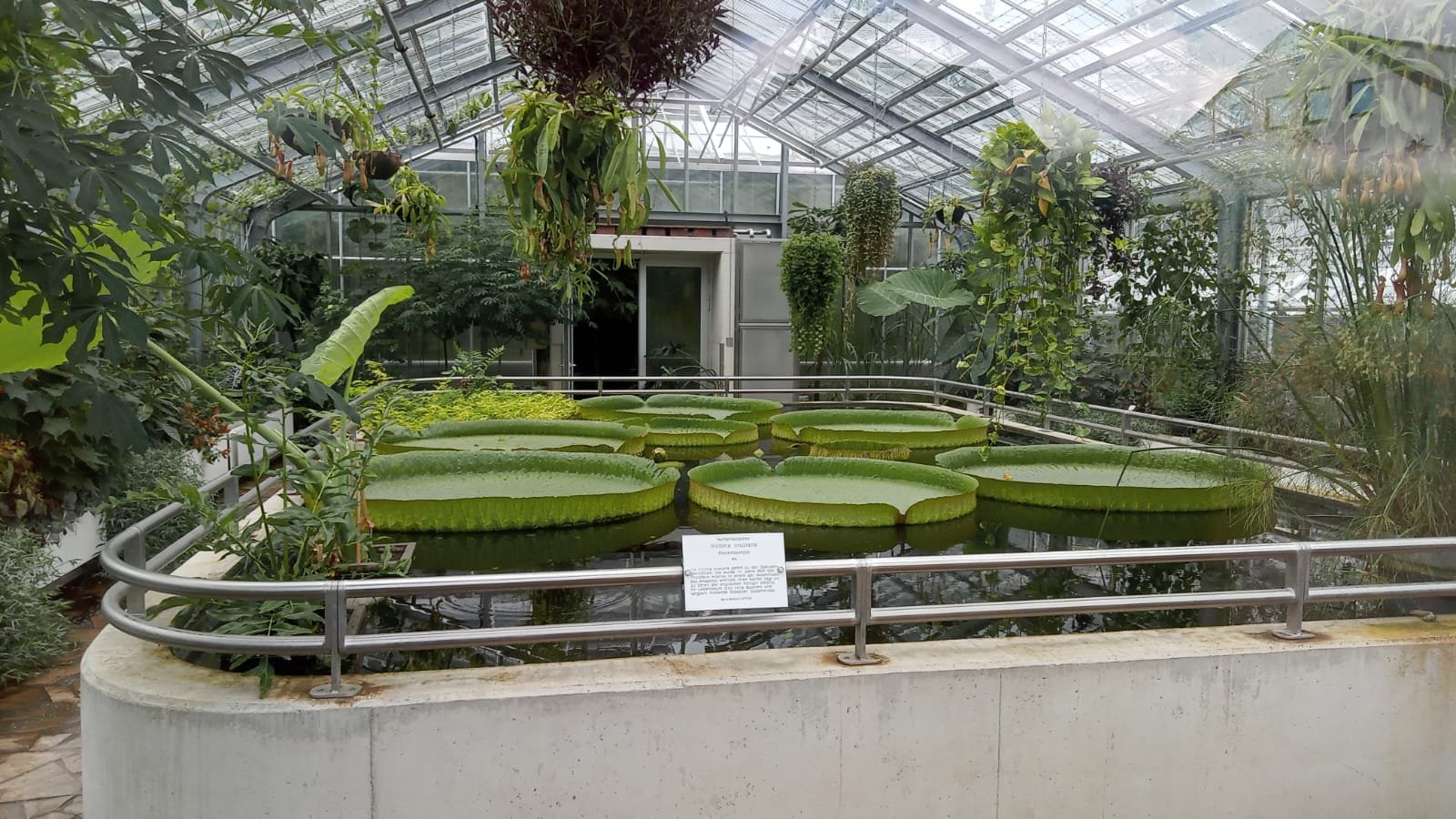 🌳 브라운슈바이크 공과대학교 식물원 (보타니셔 가르텐 데어 테크니셴 우니베르지테트 브라운슈바이크)